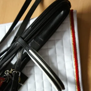 Albion KB Cabezada Sueca Doble Charol Blanco Doble Rienda