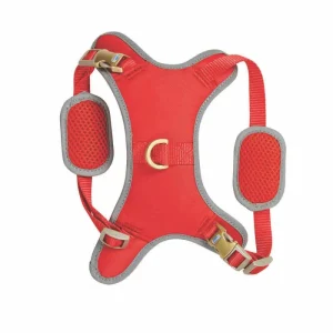 Arnes Perro Elegance Rojo Weatherbeeta