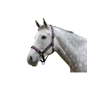 Cabezada Cuadra Leopard Rosa Leopardo Weatherbeeta