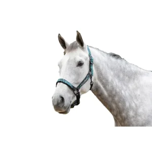 Cabezada Cuadra Leopard Turquesa Leopardo Weatherbeeta Moda