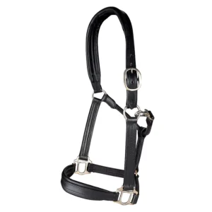 Cabezada de Cuadra de Cuero negro acolchada con hebillas de Niquel Pariani