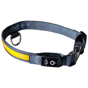 Collar LED para Perro Blaser Venta caliente en línea
