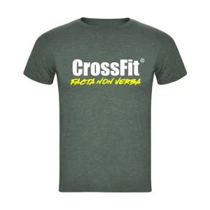 CrossFit No Pain No Gain