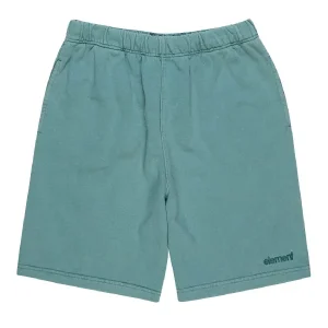 Element Youth Cornell 3.0 North Atlantic – Short Pantalón Corto