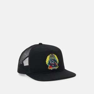 Santa Cruz Natas Screaming Panther Black Hat Gorra
