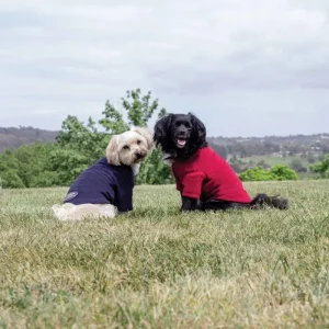 Weatherbeeta Comfitec Fleece Dog Jumper