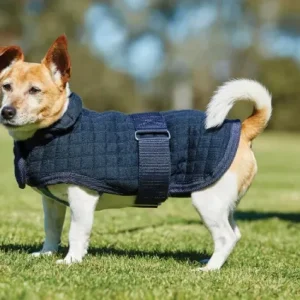 Weatherbeeta Comfitec Thermocell Dog Coat